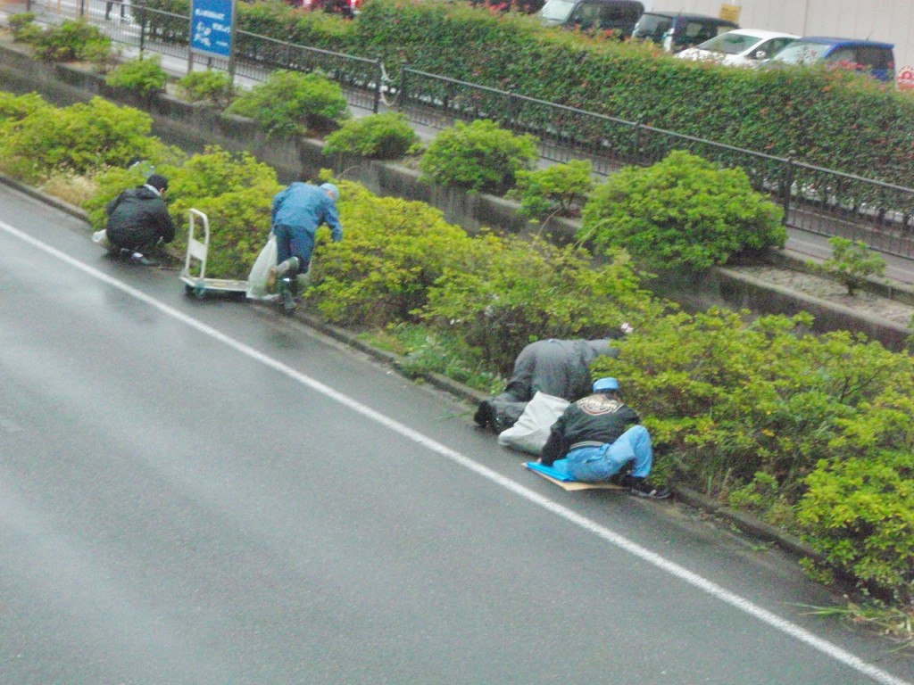 秋の米川土手清掃