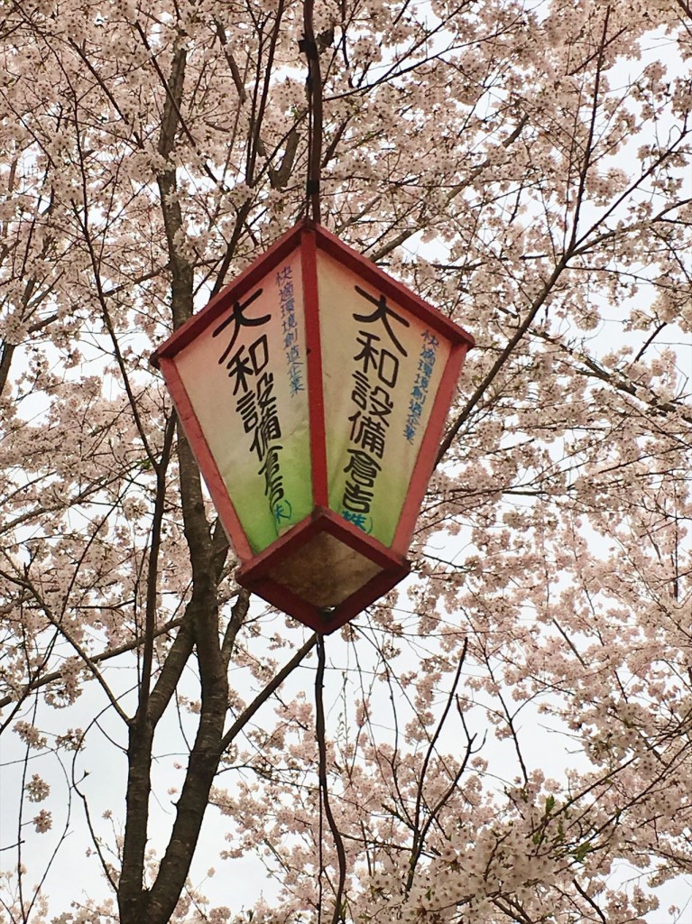 打吹公園にぼんぼり