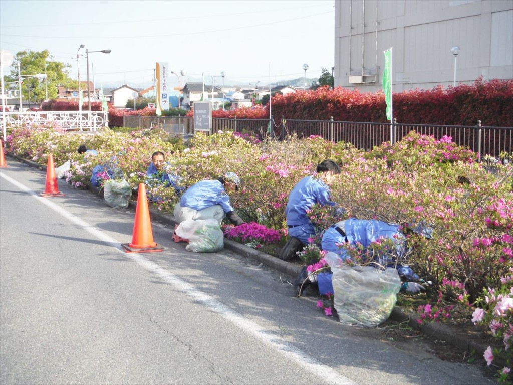 春の米川土手清掃