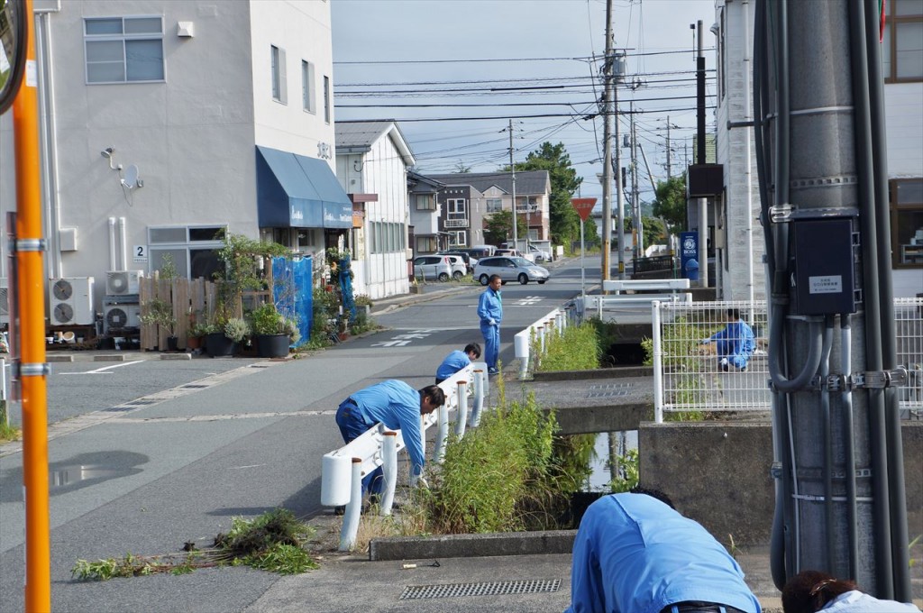 除草・清掃作業