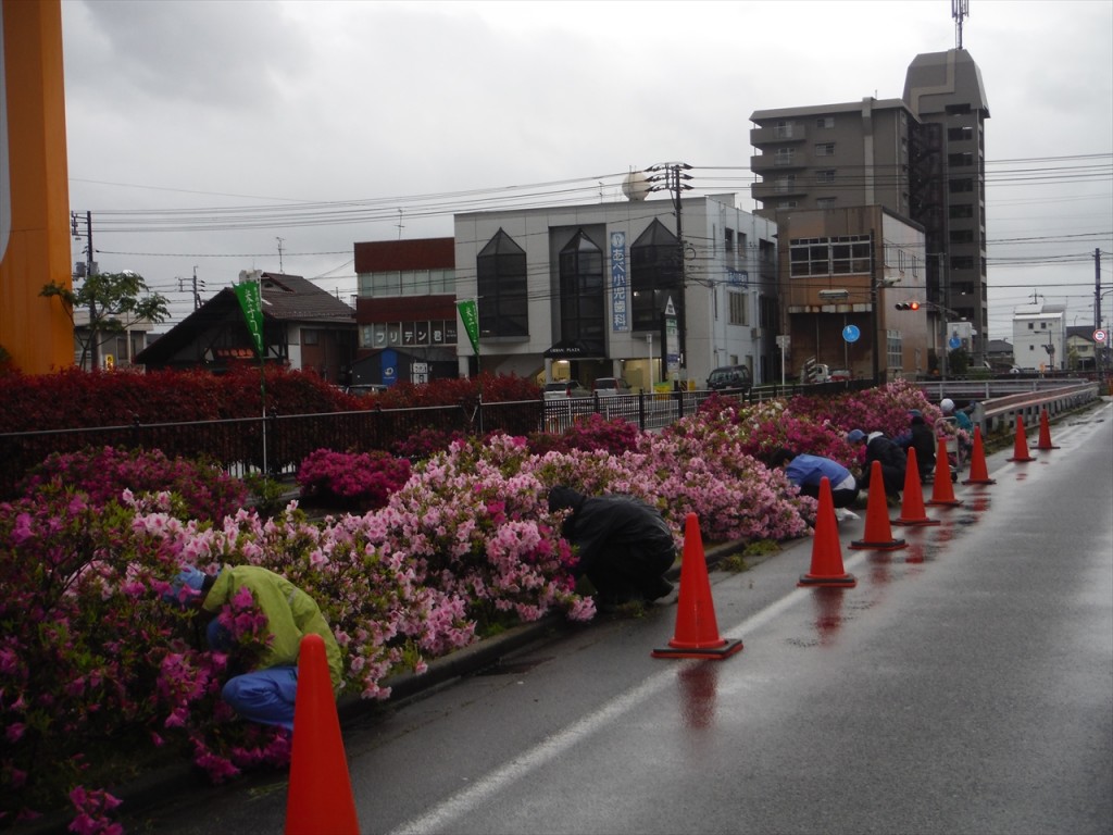 春の米川土手清掃